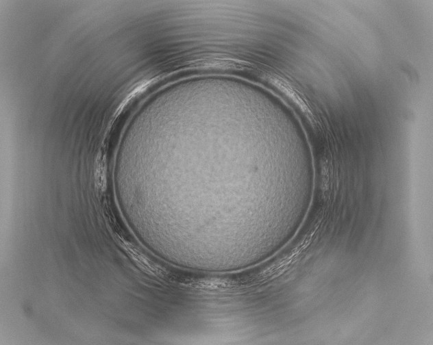 X0000116011067200912031525