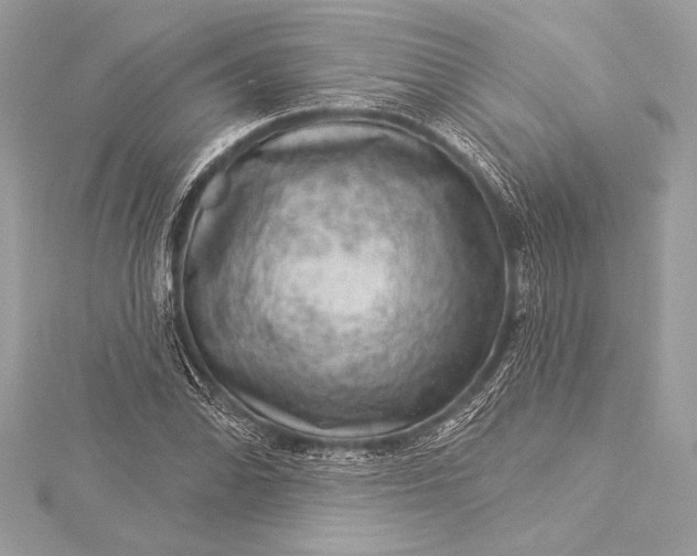 X0000116011070200912031525
