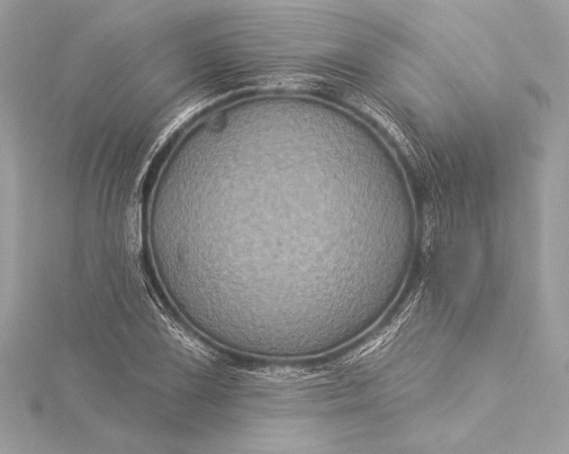 X0000116011075200912031525