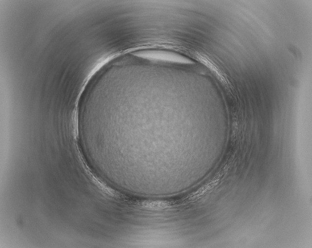 X0000116011079200912031525