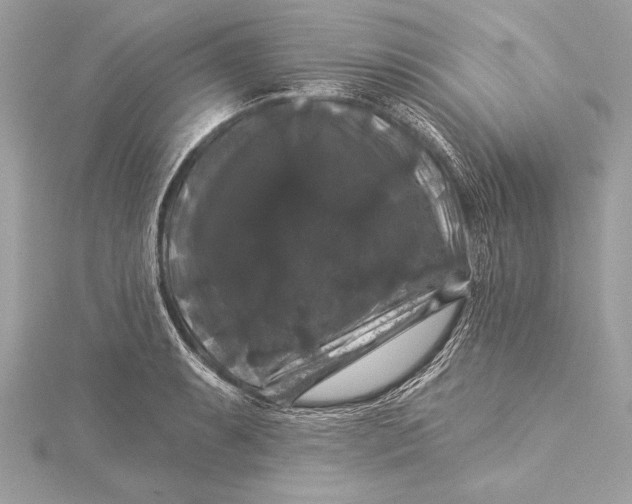 X0000116011087200912031525
