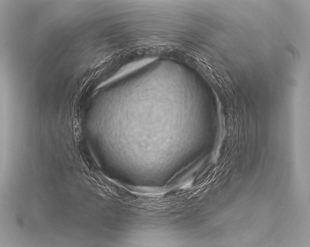 X0000116011109200912031524
