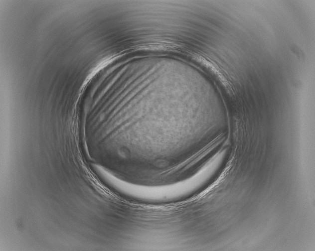 X0000116011114200912031524