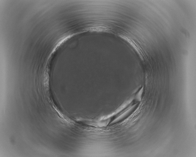 X0000116011115200912031524
