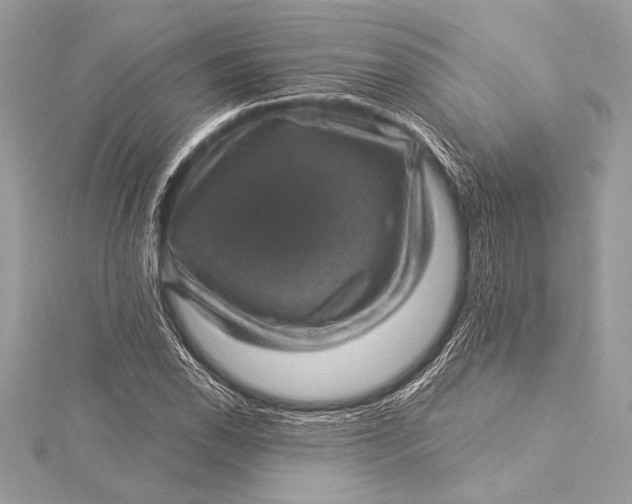 X0000116011118200912031524
