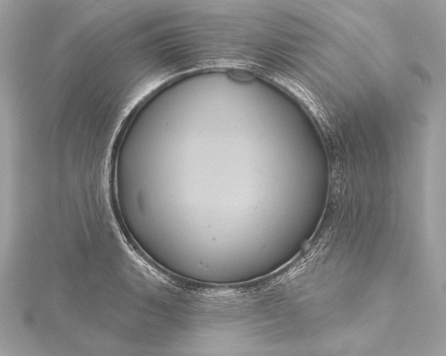 X0000116011135200912031524