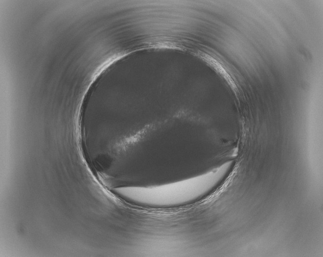 X0000116011141200912031524