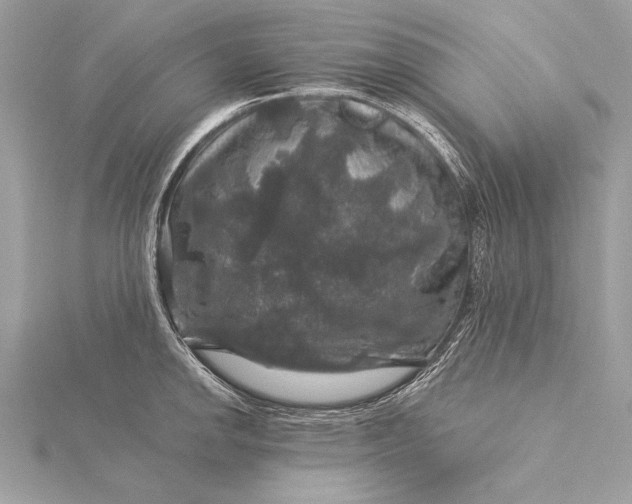 X0000116011142200912031524