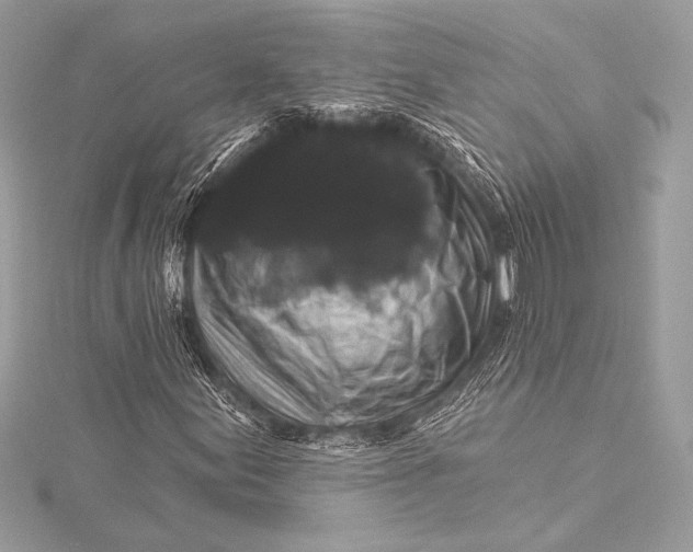X0000116011155200912031524