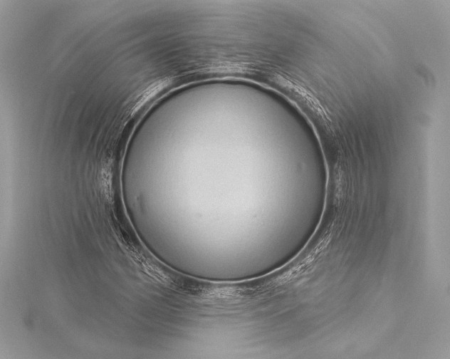 X0000116011162200912031524