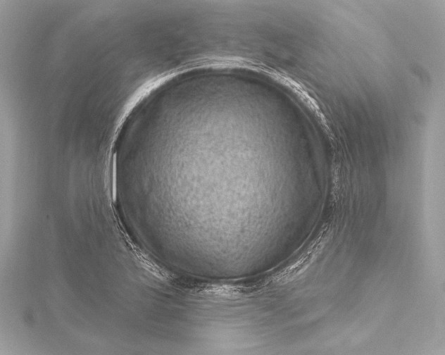 X0000116011175200912031523
