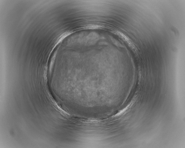 X0000116011178200912031523