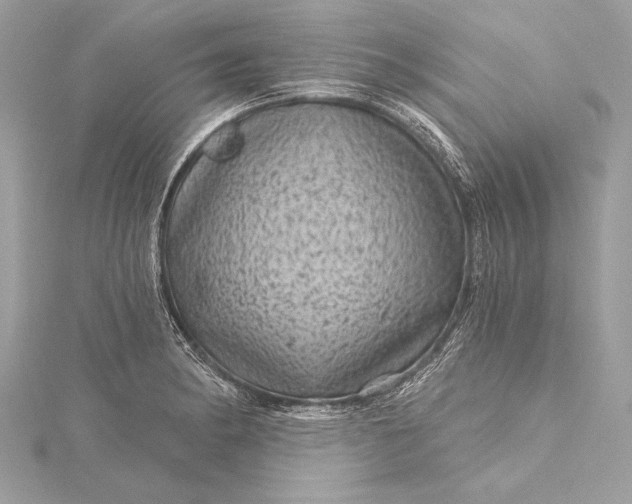 X0000116011182200912031523