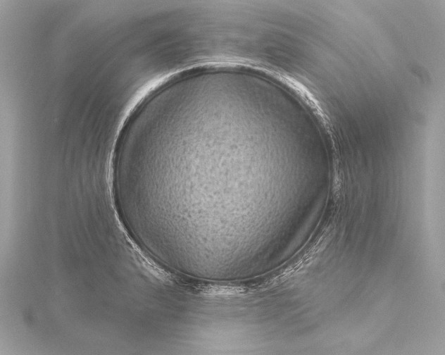 X0000116011183200912031523