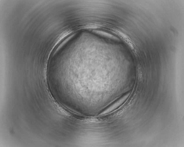 X0000116011186200912031523
