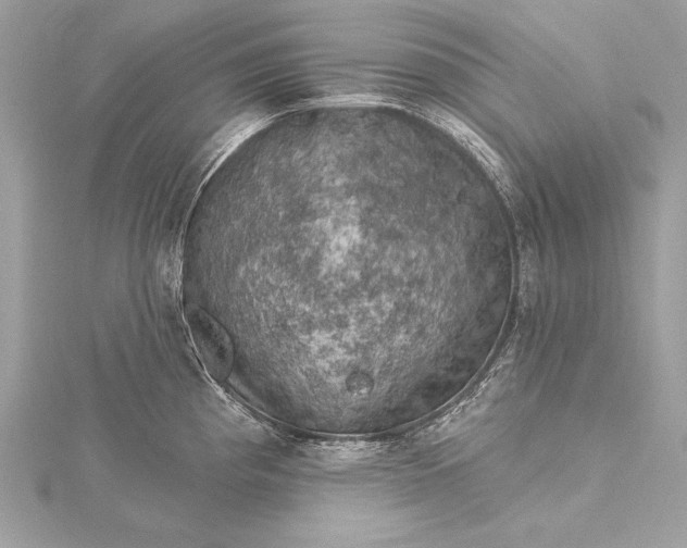 X0000116011193200912031523