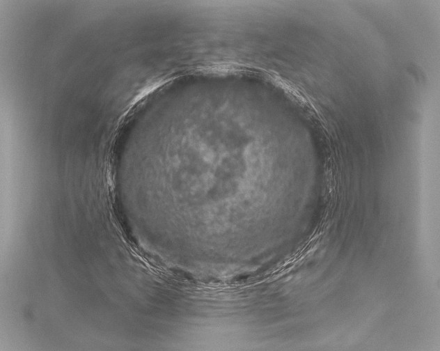X0000116011206200912031523
