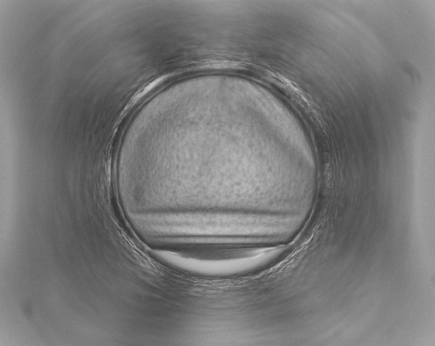 X0000116011220200912031523