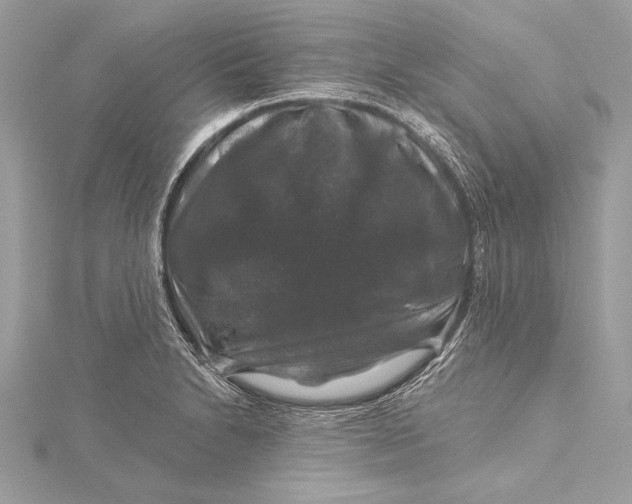 X0000116011230200912031523