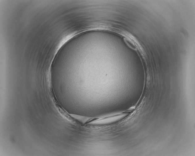 X0000116011242200912031523