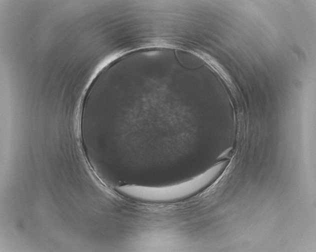 X0000116011246200912031523