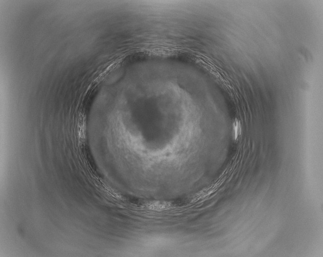 X0000116011251200912031522