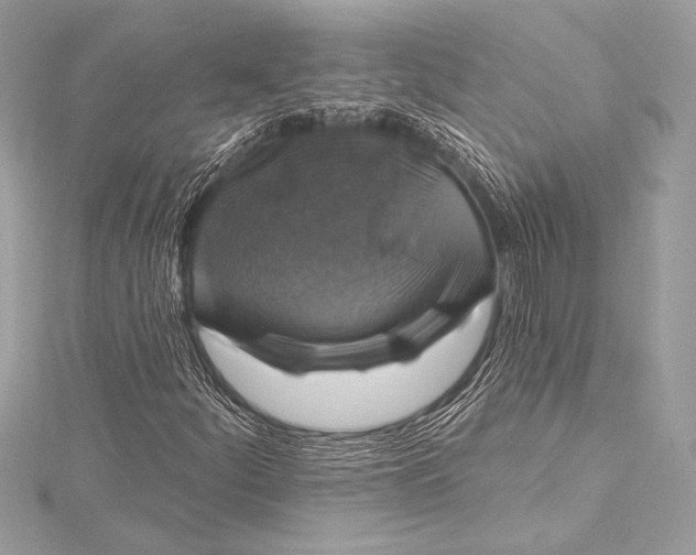 X0000116011252200912031522