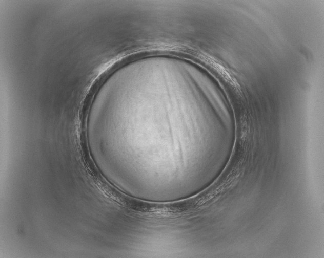 X0000116011264200912031522