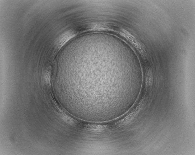 X0000116011273200912031522