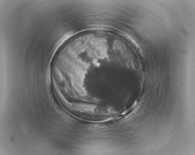 X0000116011275200912031522