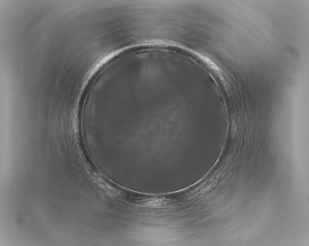 X0000116011279200912031522