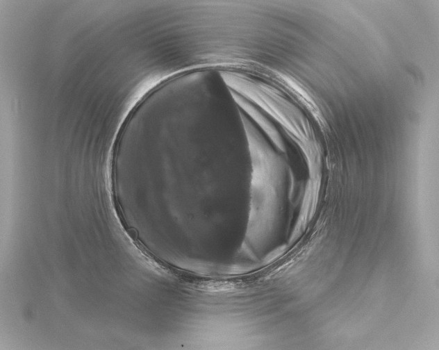 X0000116011291200912031522