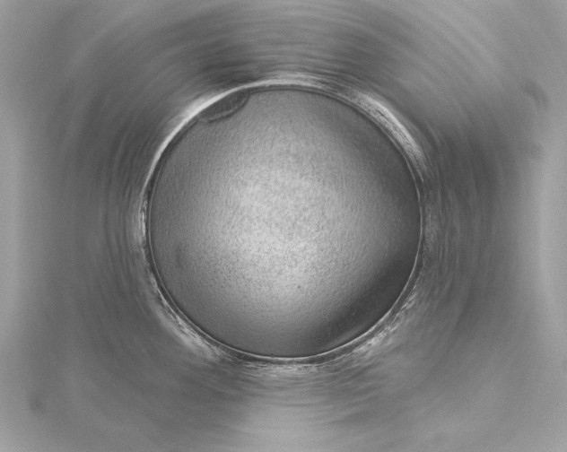 X0000116011292200912031522