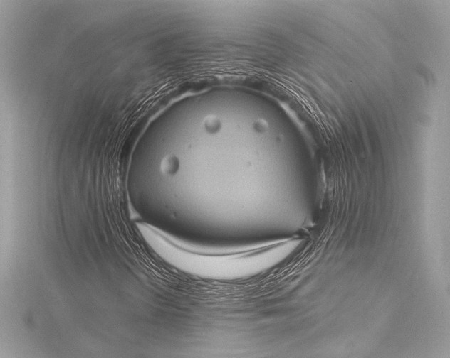 X0000116011298200912031521