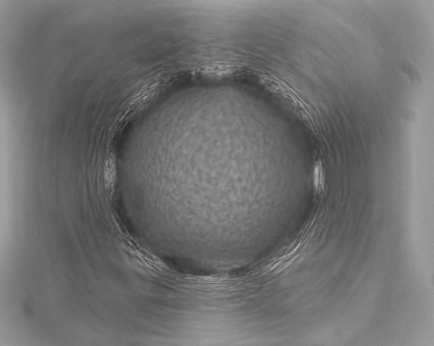 X0000116011299200912031521