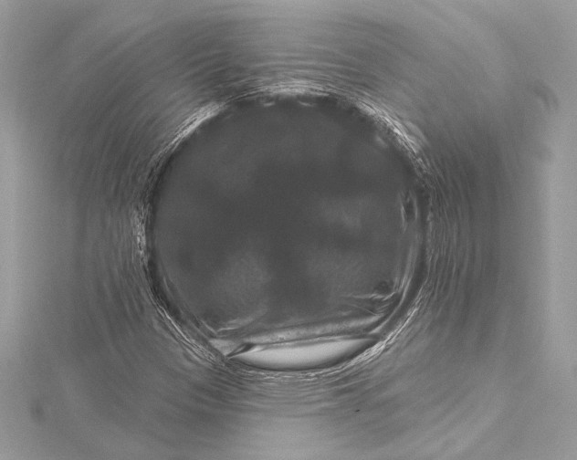X0000116011305200912031521
