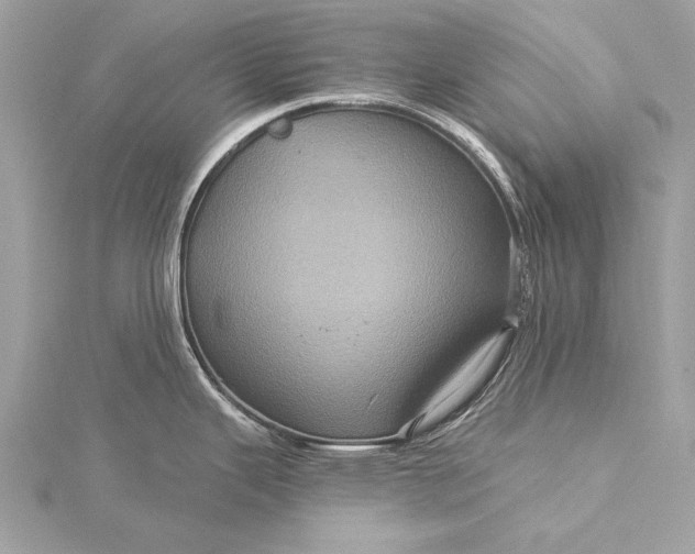 X0000116011343200912031522