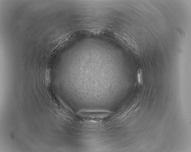 X0000116011347200912031521