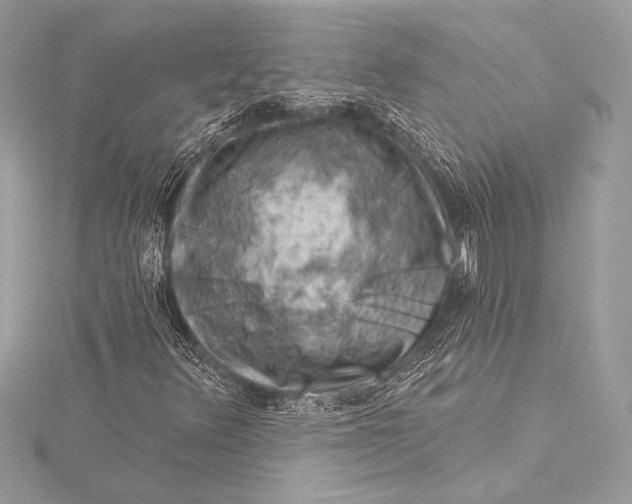 X0000116011348200912031521