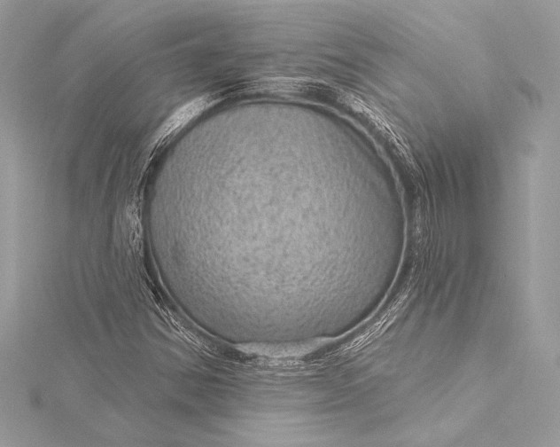 X0000116011354200912031521