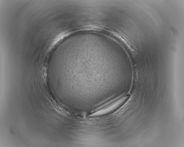 X0000116011355200912031521