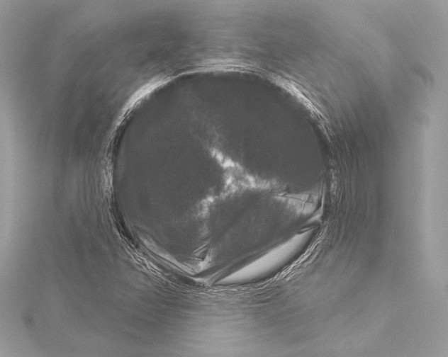 X0000116011358200912031521