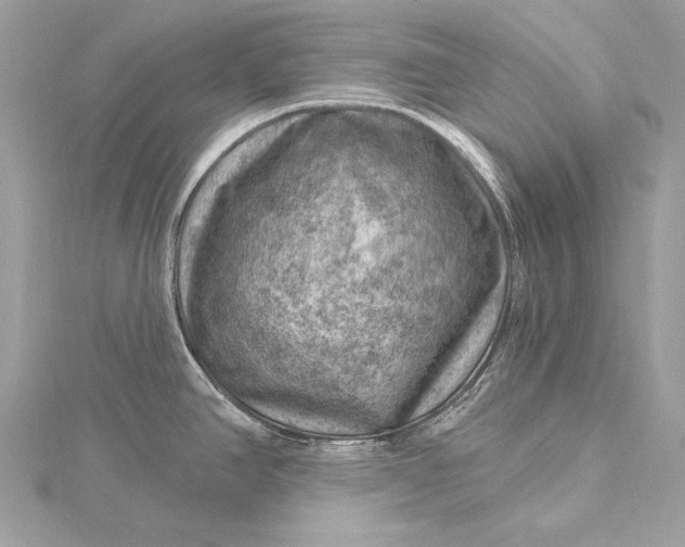 X0000116011390200912031521
