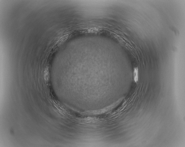 X0000116011395200912031520