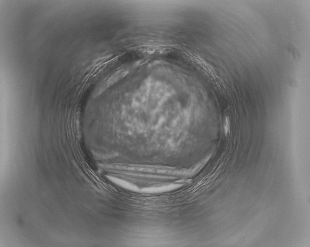 X0000116011396200912031520