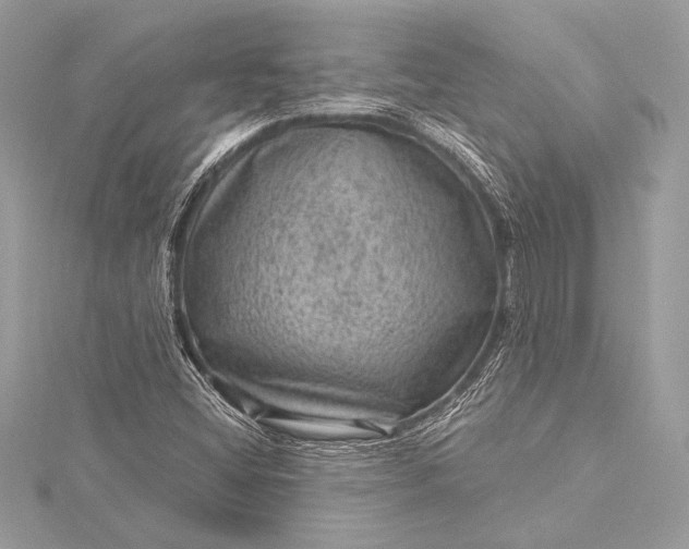 X0000116011404200912031520