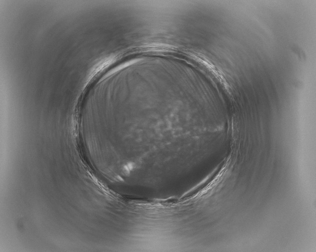 X0000116011405200912031520