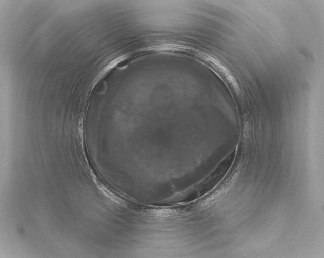 X0000116011425200912031520