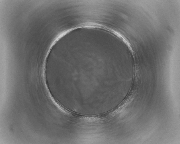 X0000116011429200912031520