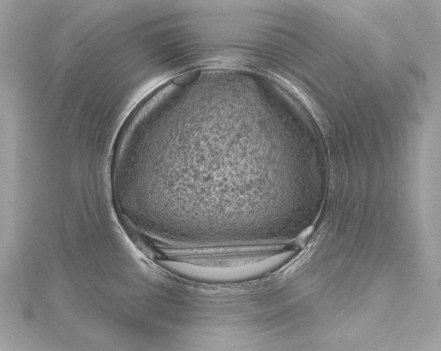 X0000116011434200912031520